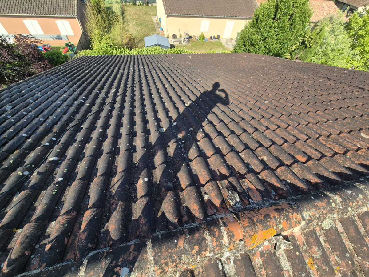 demoussage-toiture-gaillac Couvreur Albi - toiture tuile NK Couverture & Peinture Tarn (81)